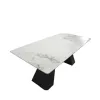 Dining Table Ceramic