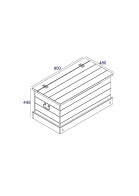 Storage Trunk