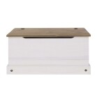 Storage Trunk