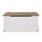 Storage Trunk